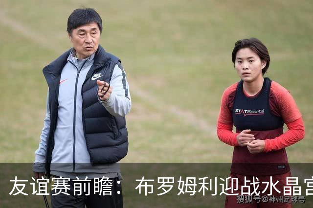 友谊赛前瞻：布罗姆利迎战水晶宫，英甲新军主场考验英超劲旅
